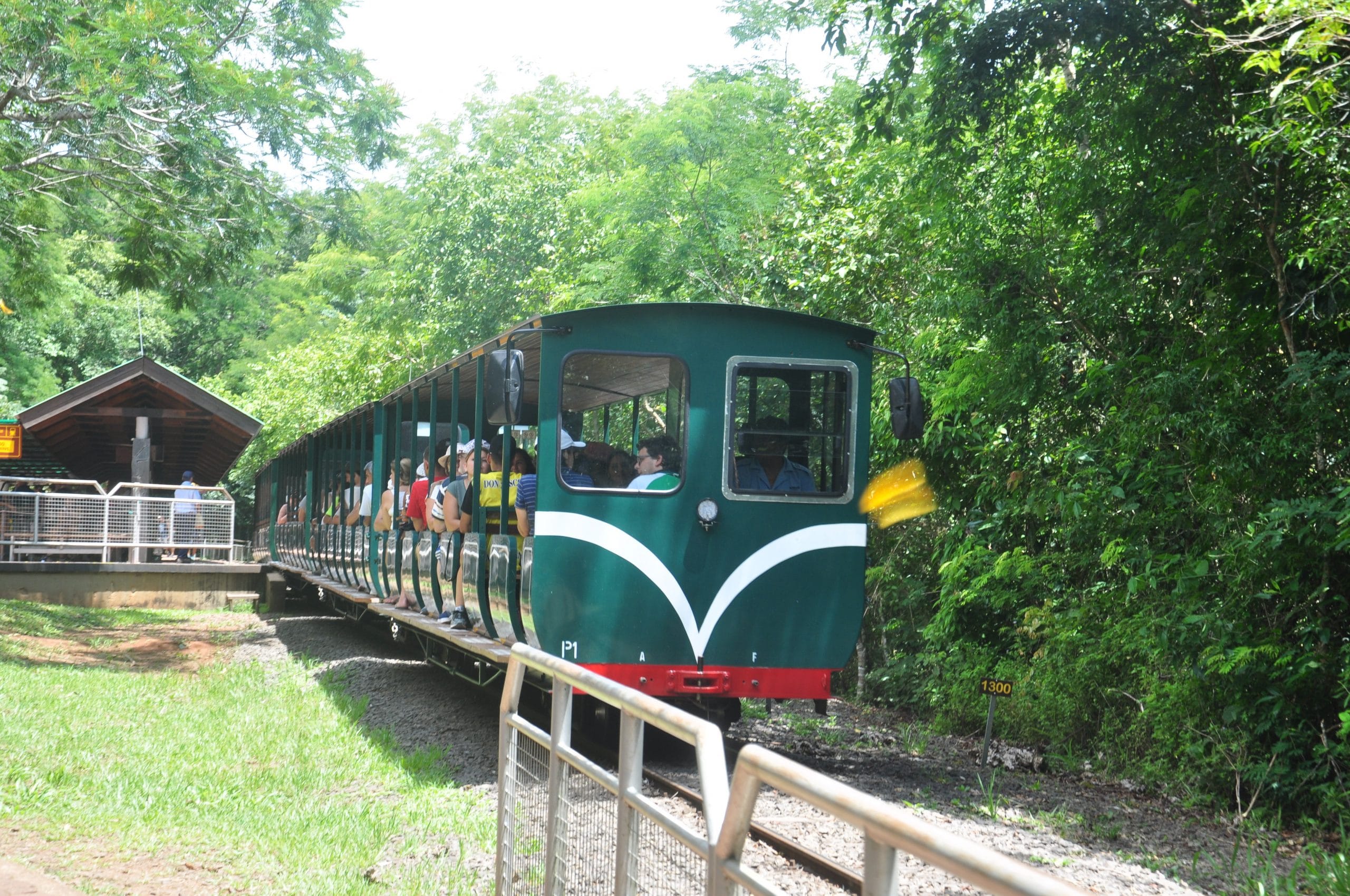 Ecological Train of the Forest at Iguazu Falls in Agrentina