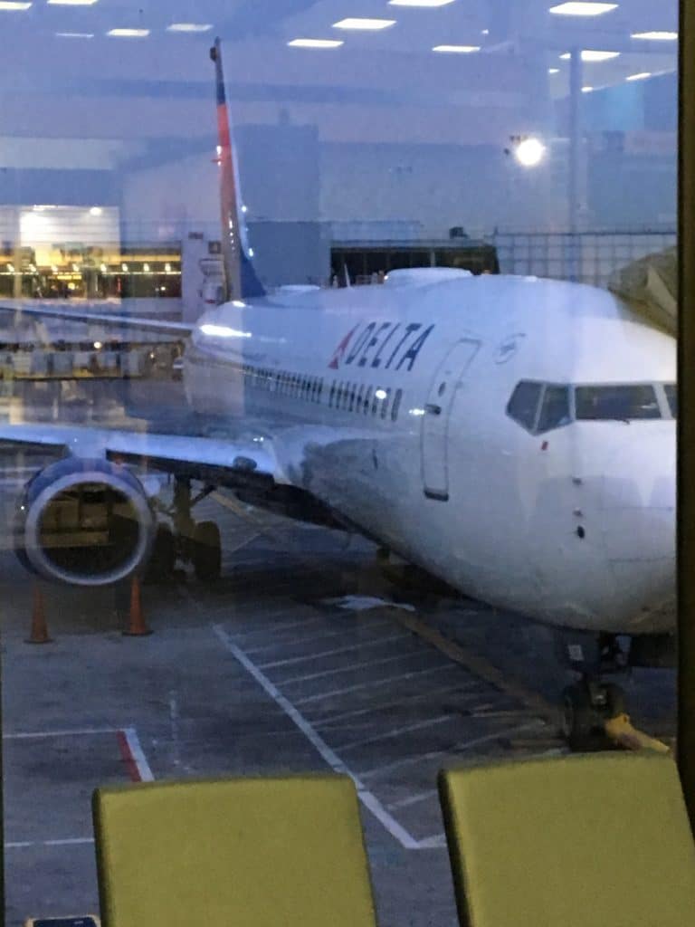 Delta Loyalist Benefits of Airline Loyalty Programs