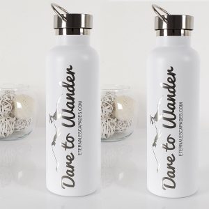 Dare To Wander Stainless Steel 25oz Water Bottle 6